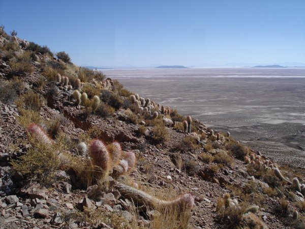 Poutní hora na Uyuni. Najít pohled bez odpadků chvilku trvalo.